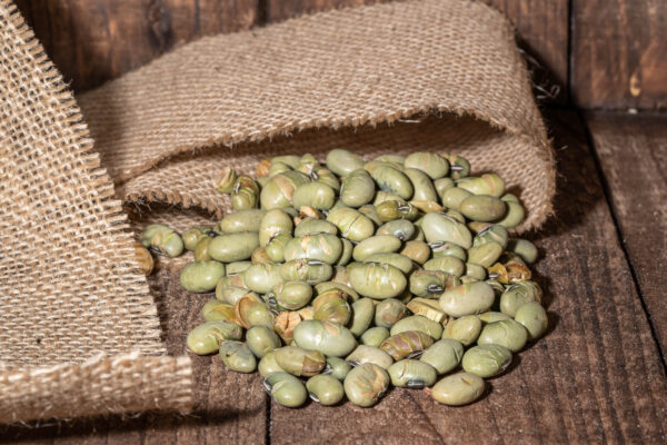 Edamame