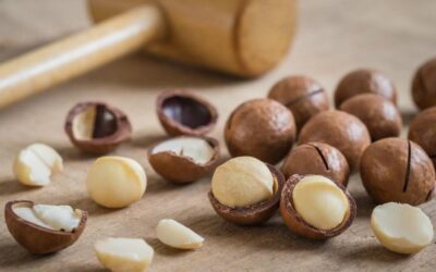 Cremose, avvolgenti, irresistibili: le noci macadamia