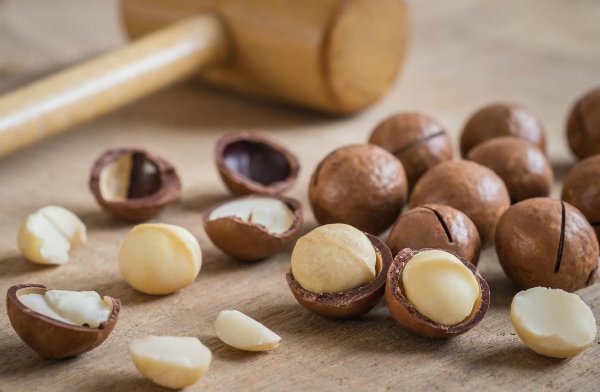Cremose, avvolgenti, irresistibili: le noci macadamia